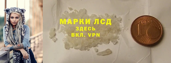 сатива Аркадак
