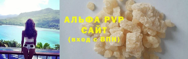 сатива Аркадак