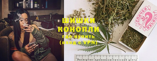 сатива Аркадак
