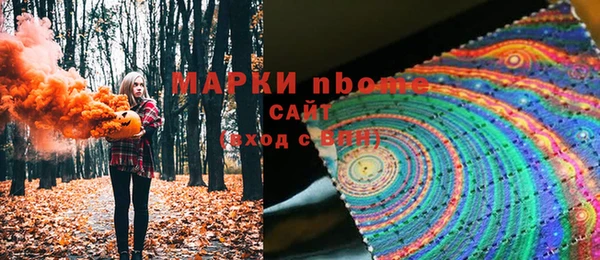 сатива Аркадак