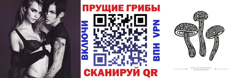Галлюциногенные грибы MAGIC MUSHROOMS  магазин    Исилькуль 